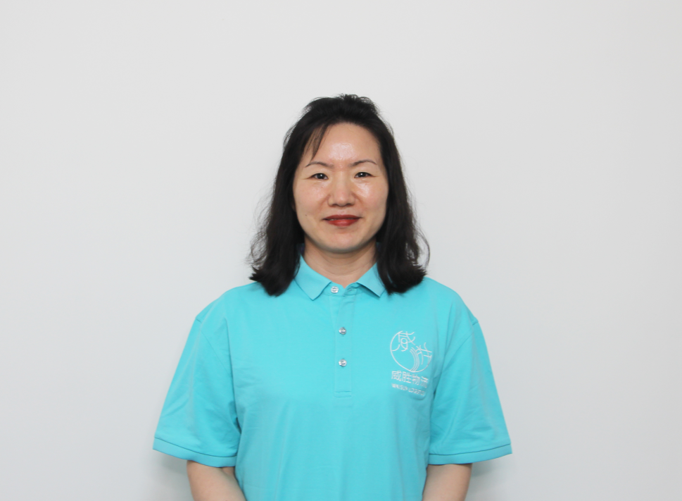 威胜物流：专业的报关行，提供高效便捷的通关服务